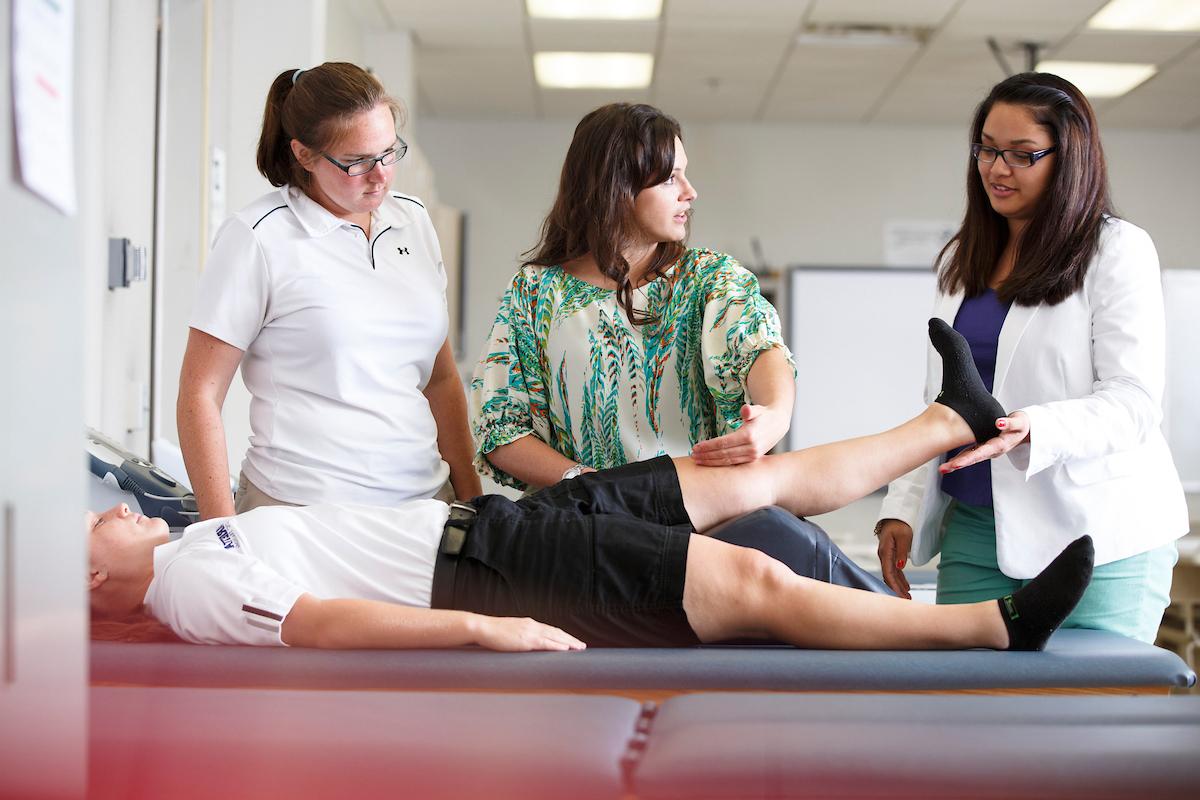 students learn about anatomy of the leg